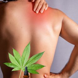 Person with their bare back facing a white wall holding their red shoulder, in front of them is a table with a tincture bottle, a cannabis leaf, and cannabis buds