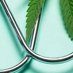 A cannabis leaf next to a stethoscope on a turquoise background