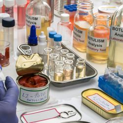 Experienced laboratory scientist analyzes red peppers from a canned food can to analyze botulism infection in sick people, conceptual image