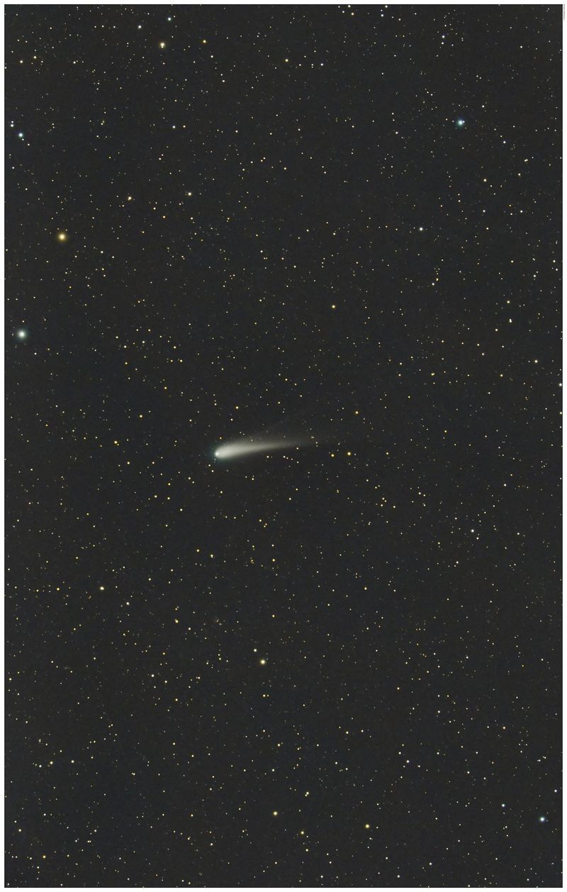 The comet is at the center of the image among a starry background. A wispy tail is easily seen extending from it into space