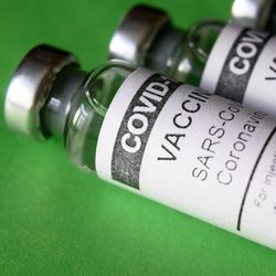 vials of COVID-19 vaccine against a green background