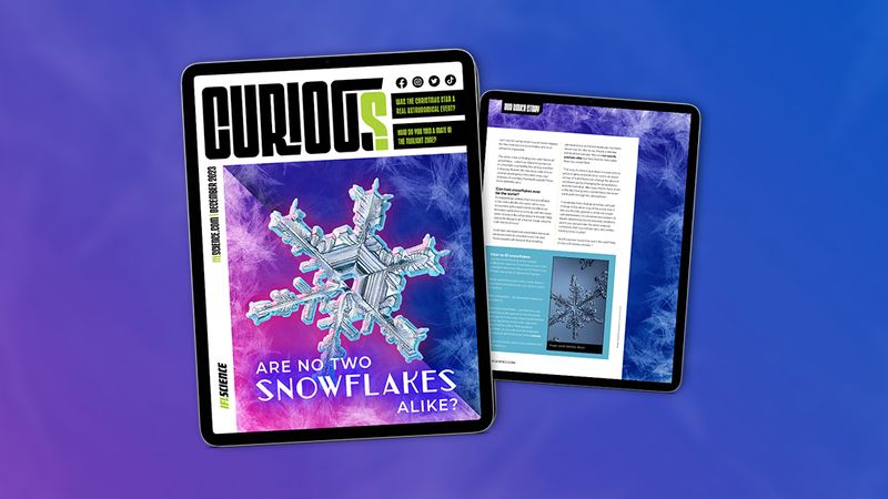 CURIOUS Issue 17