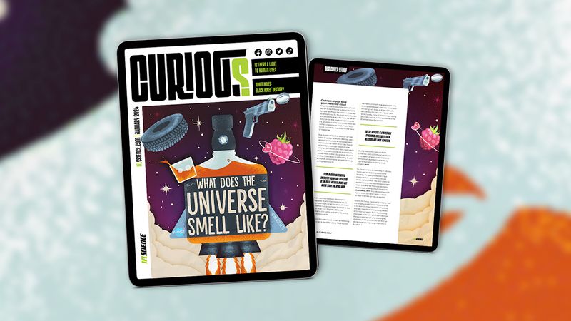 CURIOUS Issue 18