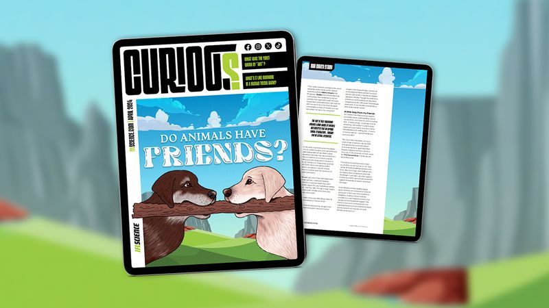 CURIOUS Issue 21