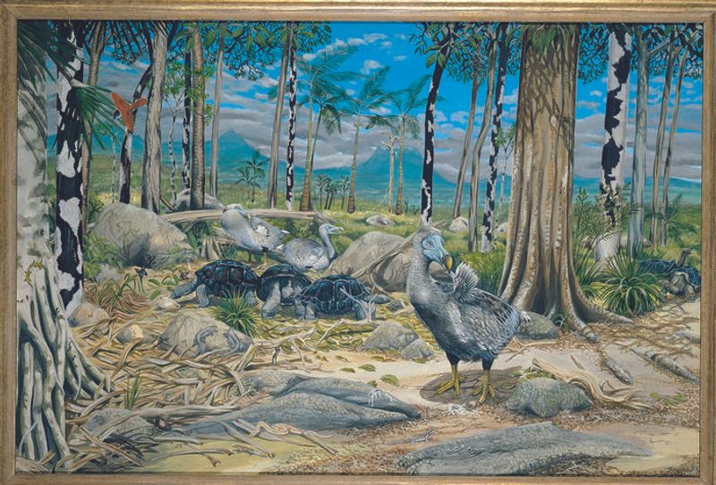 Dodo alongside other native species in forest in Mauritius