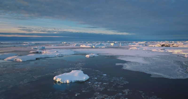 Aerial Antarctica coast sunset landscape with frozen ice floes, ocean and snow covered icebergs.