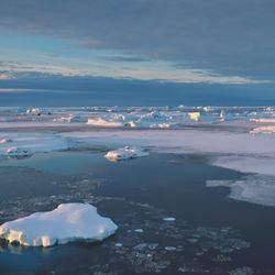 Aerial Antarctica coast sunset landscape with frozen ice floes, ocean and snow covered icebergs.