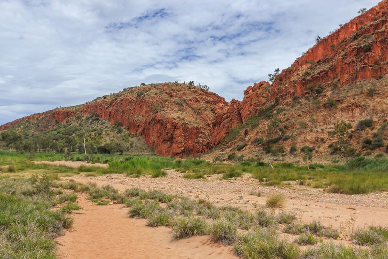  Dry riverbed of Finke River