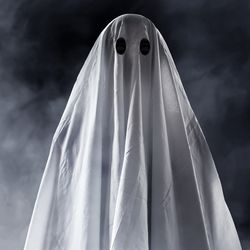 A ghost costume consisting of someone standing under a sheet with holes for eyes 