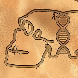 artwork depicting the outline of a human and neanderthal skull, as if carved in rock. Where the skulls join, they are connected by a double helix of DNA.