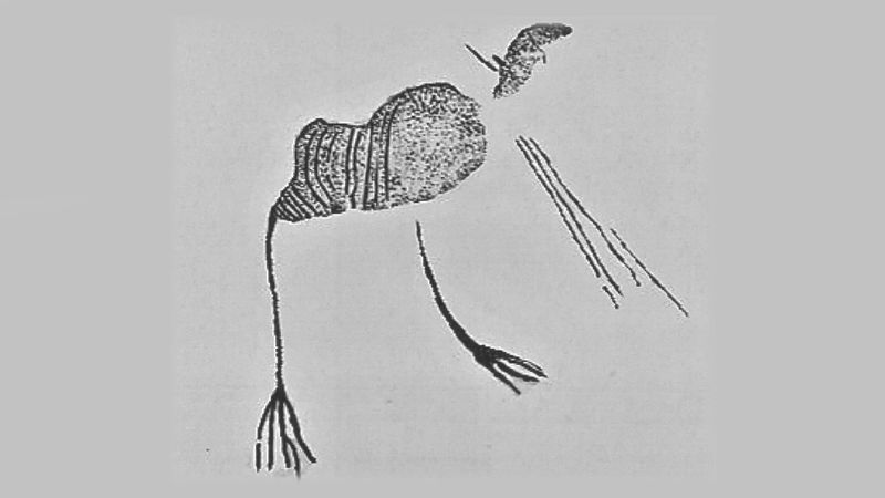  image of the avian therianthrope, interpreted here as a representation of an African rail. 