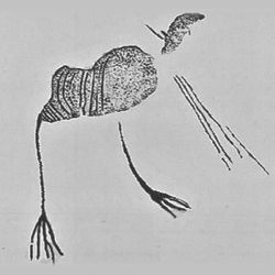  image of the avian therianthrope, interpreted here as a representation of an African rail. 