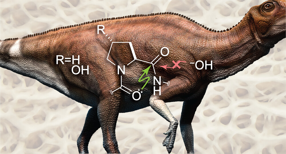 A dinosaur with a schematic of the carbonyl groups, showing the bonds between carbon atoms in some and oxygens in others that keep water out.