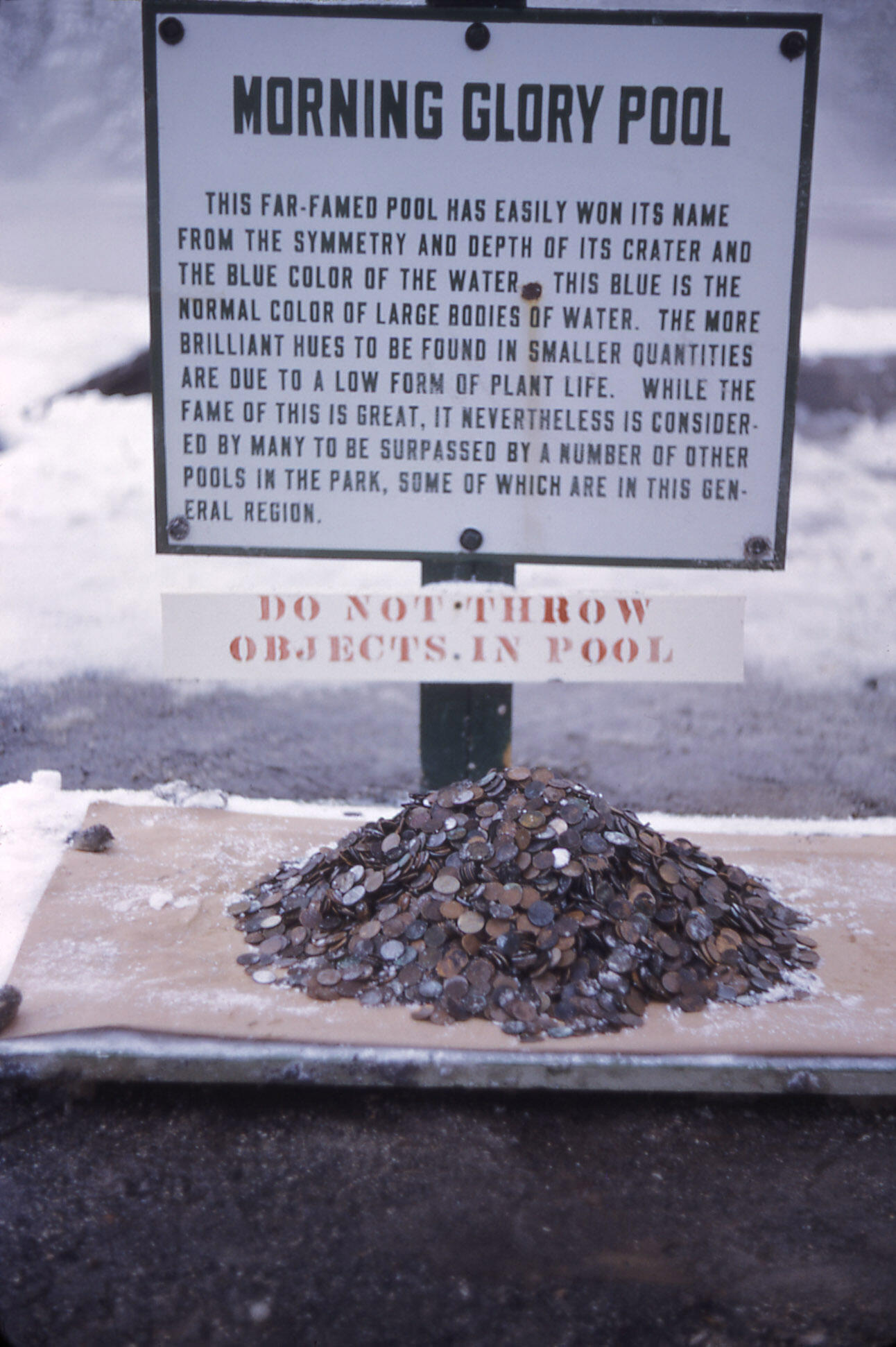 An old sign and pile of coins in front of Morning Glory Pool in 1950.