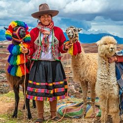 Inca medicinal plants