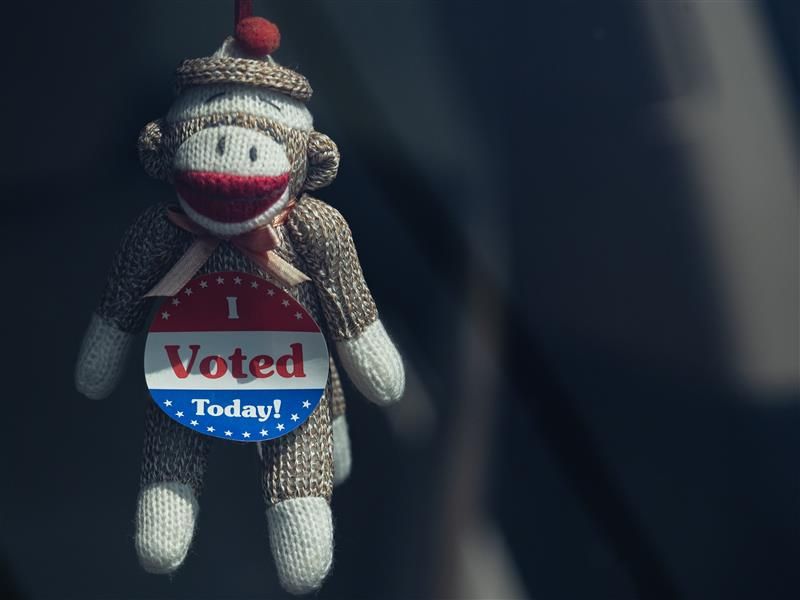 Knitted monkey toy wearing an I Voted badge