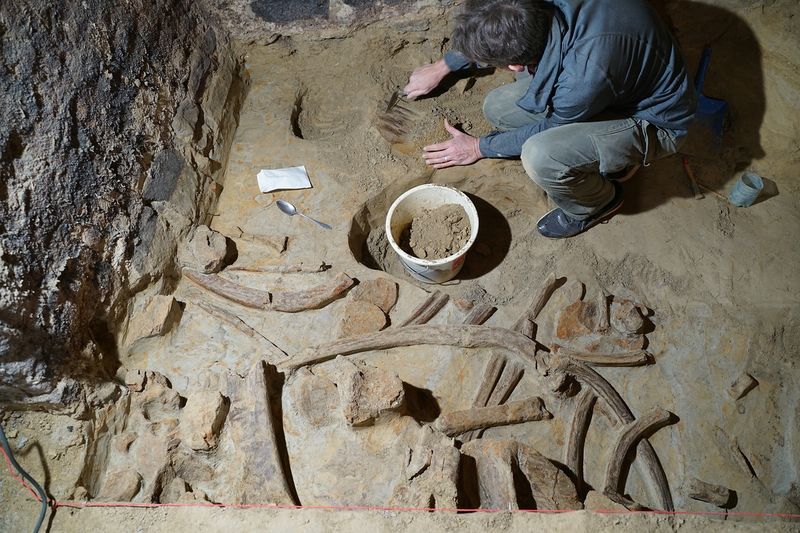 Mammoth skeletons wine cellar