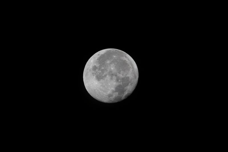 An image of the full moon on a black sky with no visible stars.