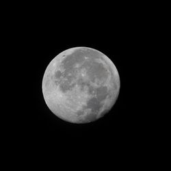 An image of the full moon on a black sky with no visible stars.