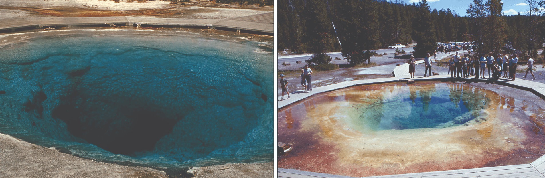 Morning Glory Pool, seen in a historic undated photo (left) and decades later in 1965 (right)