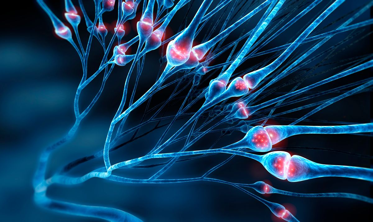 3D illustration of nervous system synapses in glowing blue, with glowing red vesicles at the synaptic clefts