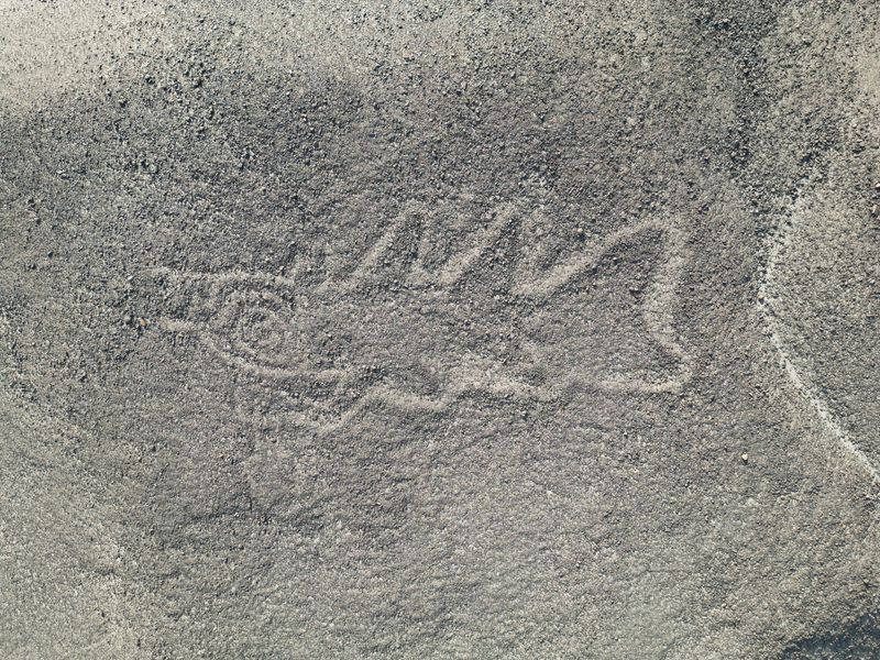 New Al Nazca geoglyph depicting an orca with a knife