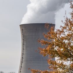 Two nuclear cooling towers are framed in this image. The white steam is flowing from their tops. The base of the cooling towers are obscured by a line of bear trees and the right hand side of the photo shows half of a yellow-brown tree.