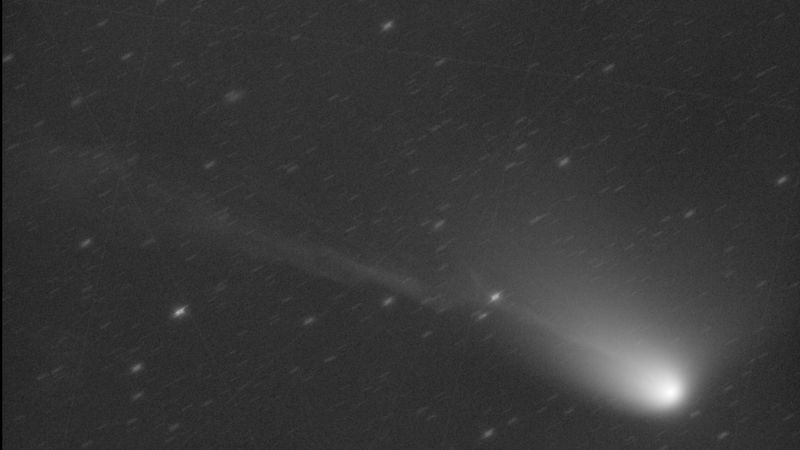 A black and white image of comet olbers. Its ion tail as a dent like a lighting bolt