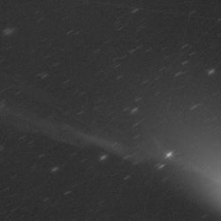 A black and white image of comet olbers. Its ion tail as a dent like a lighting bolt