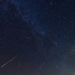 A composite image showing multiple perseids all at once crossing the sky