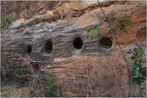 A close up photo showing a row of five small circular niches in the sandstone rock. The holes look deep and are around a meter from the ground. There is grass and foliage visible on the floor. 