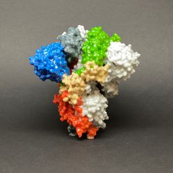 3D print of a spike protein on the surface of SARS-CoV-2—also known as 2019-nCoV, the virus that causes COVID-19. Spike proteins cover the surface of SARS-CoV-2 and enable the virus to enter and infect human cells.