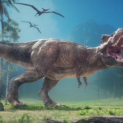 A 3D rendering of a T.rex roaring in a forest that looks steamy and hot 