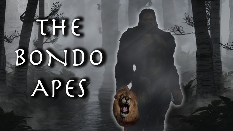 The Bondo Ape