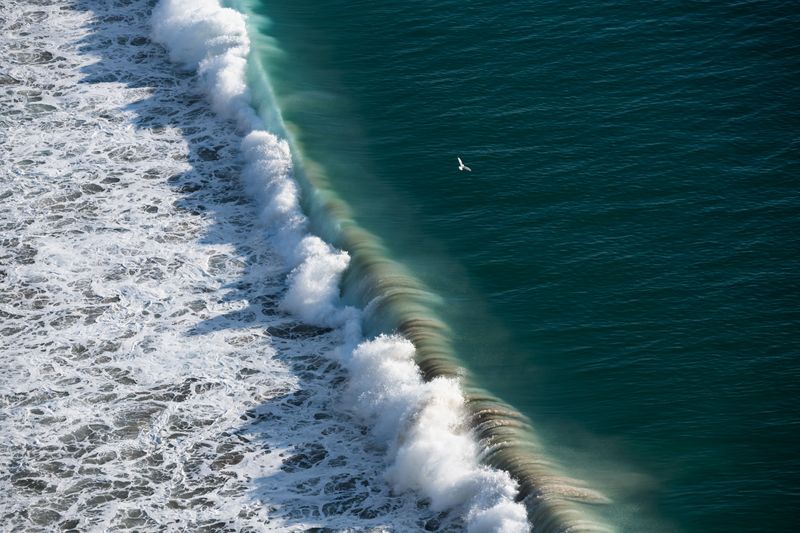 aerial shot of large wave breaking with lots of white spray; a small seabird is visible flying above it.