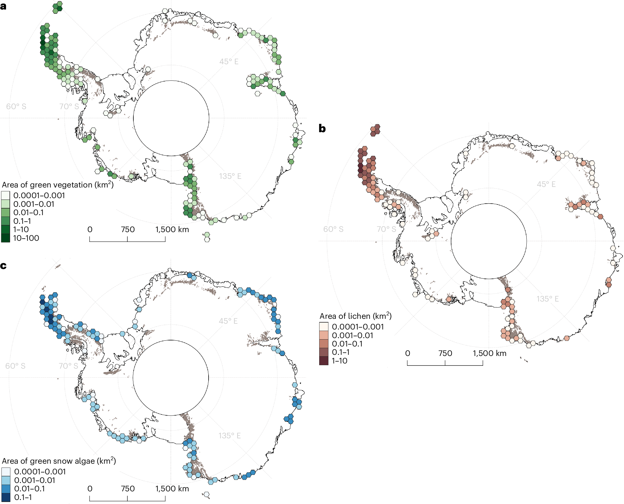 Maps of Antarctica showing distribution of (a) green vegetation, (b) lichens, and (c) green snow algae.