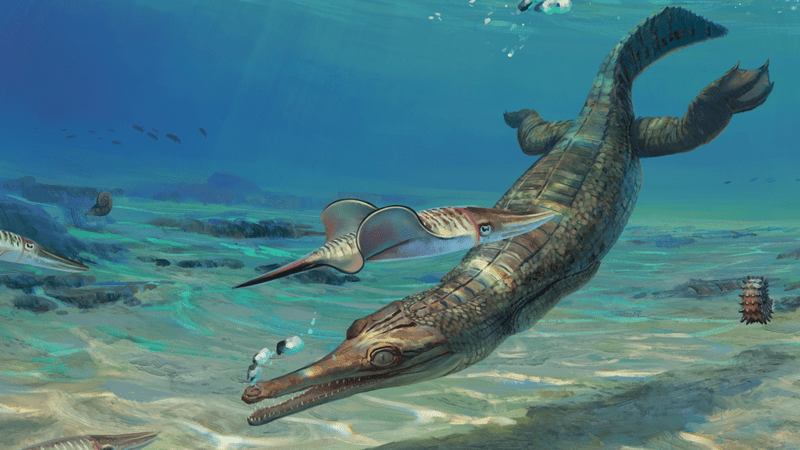 ancient sea crocodiles