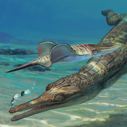 ancient sea crocodiles