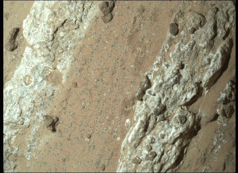 Running the length of the rock are large white calcium sulfate veins. Between those veins are bands of material whose reddish color suggests the presence of hematite, one of the minerals that gives Mars its distinctive rusty hue. there are millimeter-size, irregularly shaped light patches on the central reddish band (from lower left to upper right of the image) that are surrounded by a thin ring of dark material, akin to leopard spots.