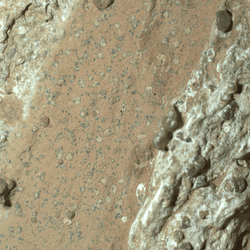 Running the length of the rock are large white calcium sulfate veins. Between those veins are bands of material whose reddish color suggests the presence of hematite, one of the minerals that gives Mars its distinctive rusty hue. there are millimeter-size, irregularly shaped light patches on the central reddish band (from lower left to upper right of the image) that are surrounded by a thin ring of dark material, akin to leopard spots.