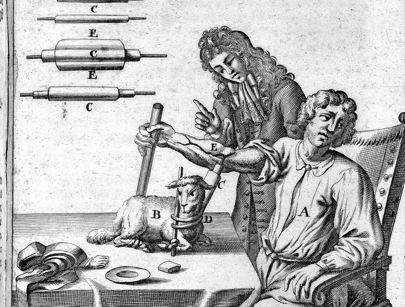 A black and white illustration of a boy receiving a lamb blood transfusionunder the watch of Jean-Baptiste Denys in 1667