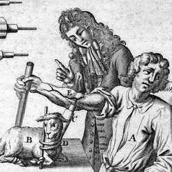 A black and white illustration of a boy receiving a lamb blood transfusionunder the watch of Jean-Baptiste Denys in 1667