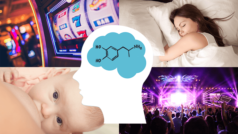 white human head outline with blue brain containing structural diagram of dopamine; surrounded by image of fruit machine in top left corner, image of brunette woman sleeping in top right, baby breastfeeding in bottom left and crowd at a concert with bright purple lights in bottom right.