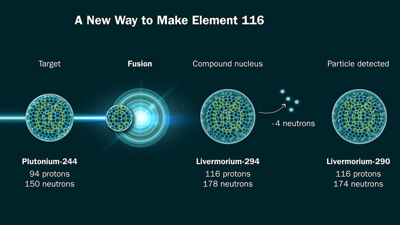 Diagram showing how element 116 was produced.