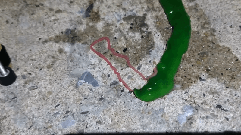 Green slimy worm like creature with a smaller pink tongue like appendage