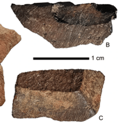 Ochre crayons found at Lail in Timor are one of the marks of human habitation that are not found more than 45,000 years ago.