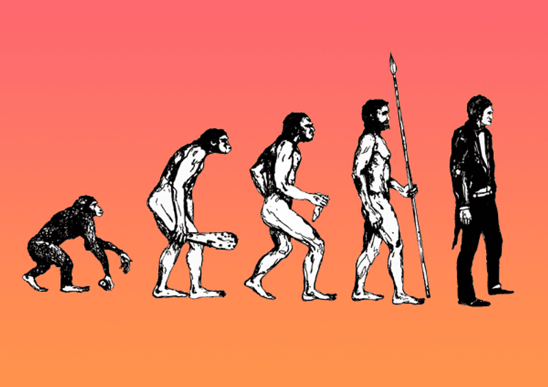 The March of Progress showing the evolution of humans from ape to homo sapiens