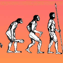 The March of Progress showing the evolution of humans from ape to homo sapiens