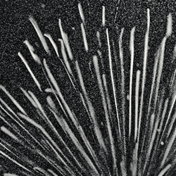 Particle tracks in a cloud chamber.