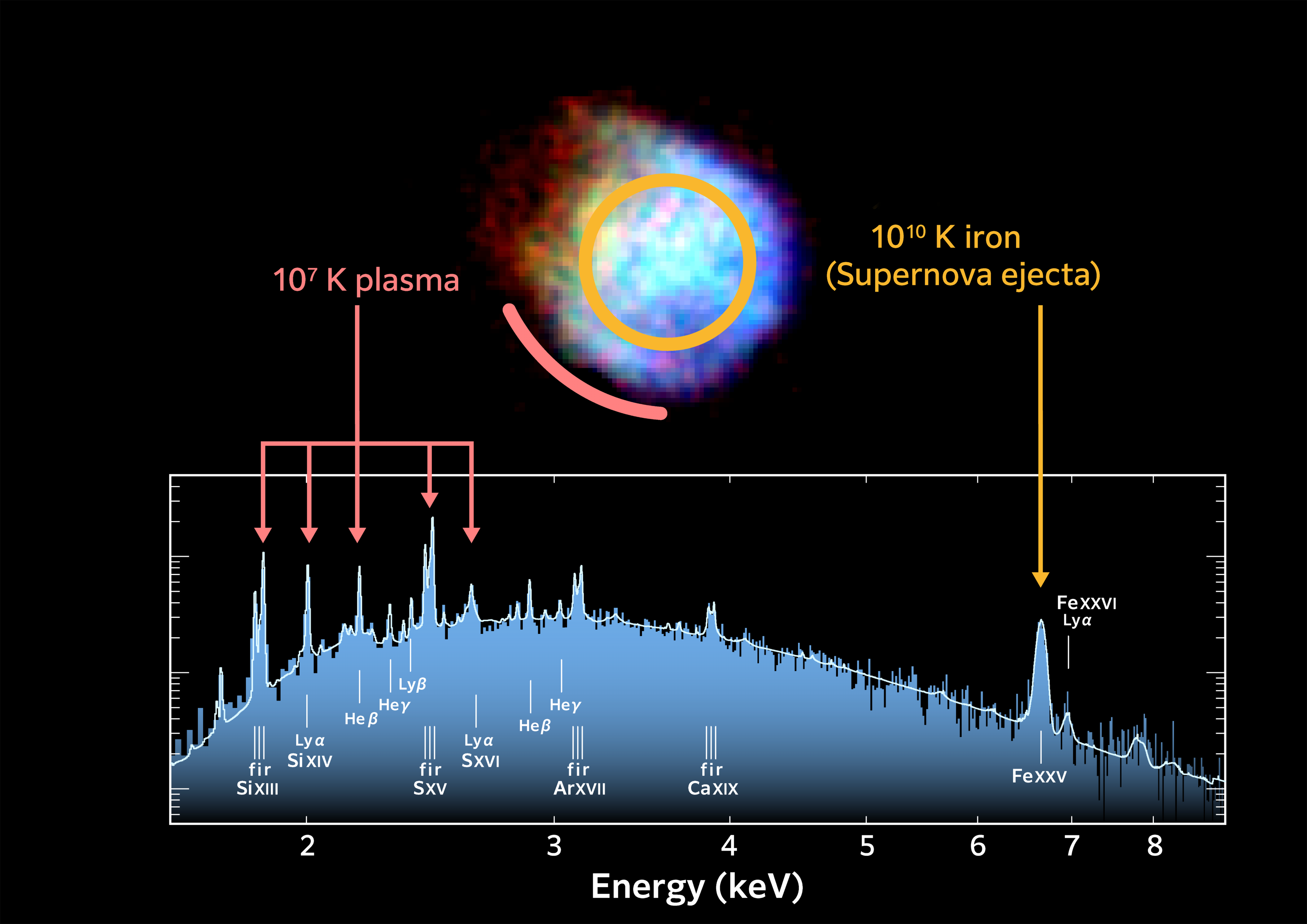 The image show the observation of the supernova as a roughly circular event and below a diagram of light energy versus abundance. The spectrum shows many chemical elements that are present in N132D. XRISM can identify each element by measuring the energy of the X-ray photon specific to different atoms